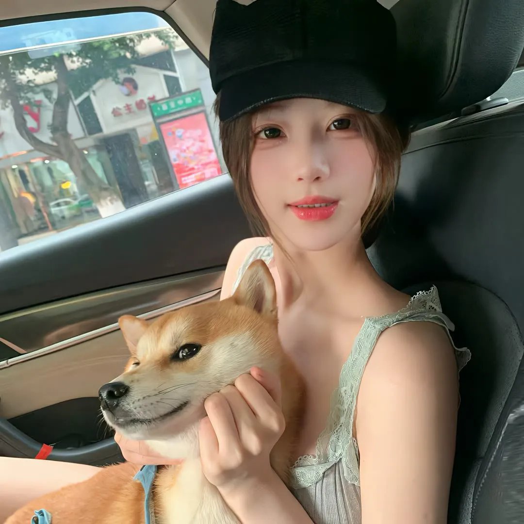 天网行动2019
